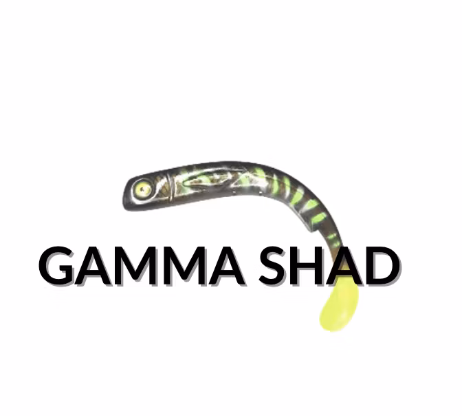 Gamma Shad - Maximum Outdoor