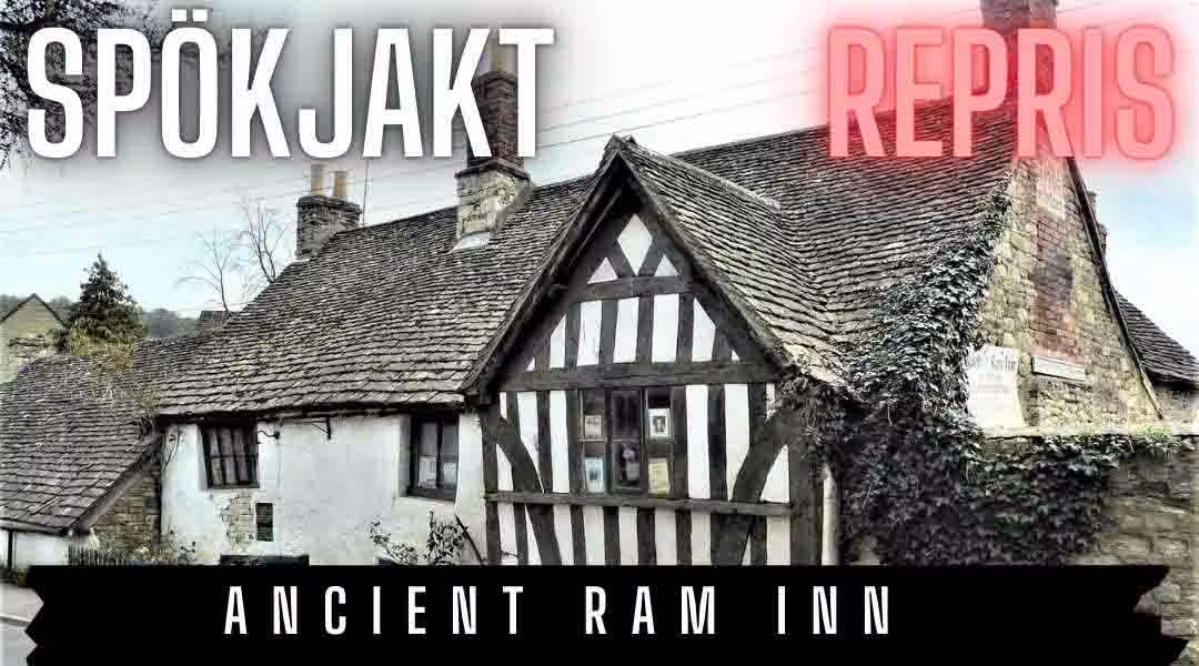 Agent Ram Inn Ancient Ram Inn 1 (repris från 3/3 – 2022) - LaxTon Ghost Sweden
