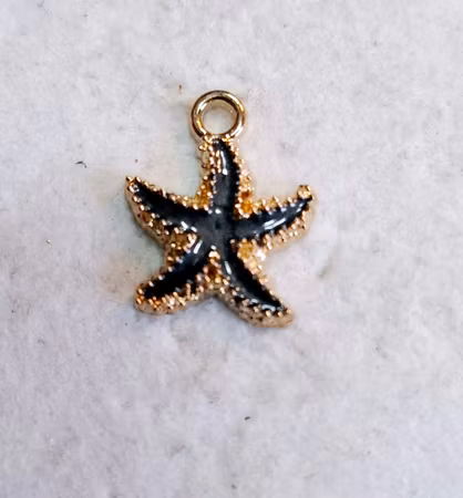 Svart sjöstjärna 1st