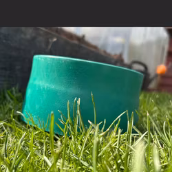 Non-slip skål