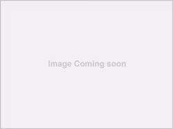 Pedestal FIP Pumps