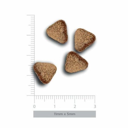 Amanova Adult Digestive Mini Rabbit & Pumpkin