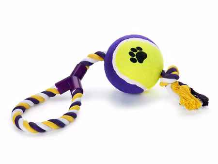 Leksak Rep med Boll Orange