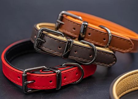 Läderhalsband