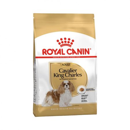 ROYAL CANIN Cavalier King Charles Adult
