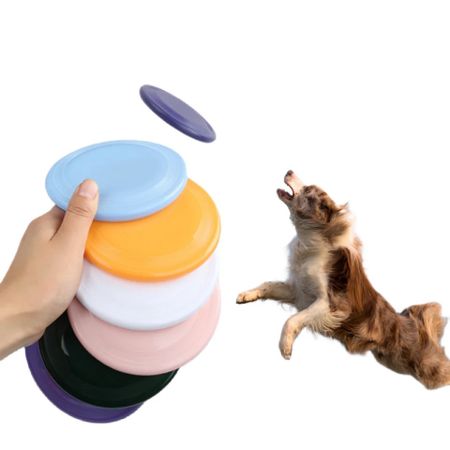SMILE Frisbee