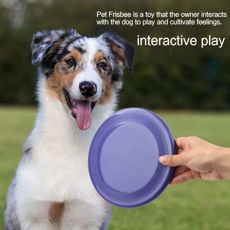 SMILE Frisbee