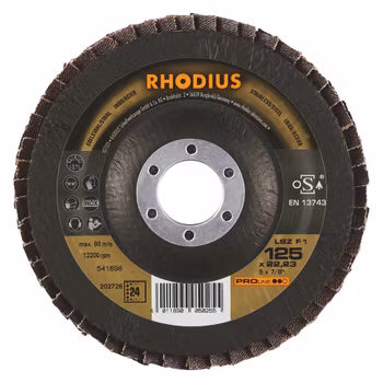 RHODIUS LSZF1 Lamellslipskiva TOP 125x22,23 K24 (10 förp)