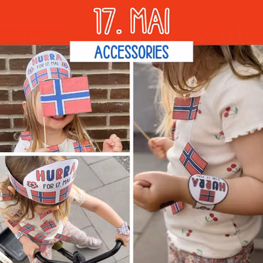 17. MAI accessories