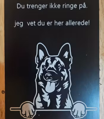 Belgisk Malinois dørskilt