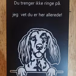 Irsk setter dørskilt