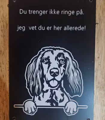 Irsk setter dørskilt