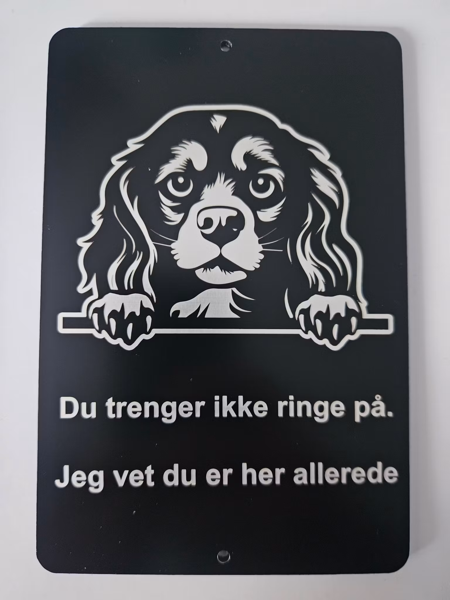 Cavalier king charles spaniel dørskilt