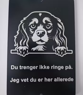 Cavalier king charles spaniel dørskilt