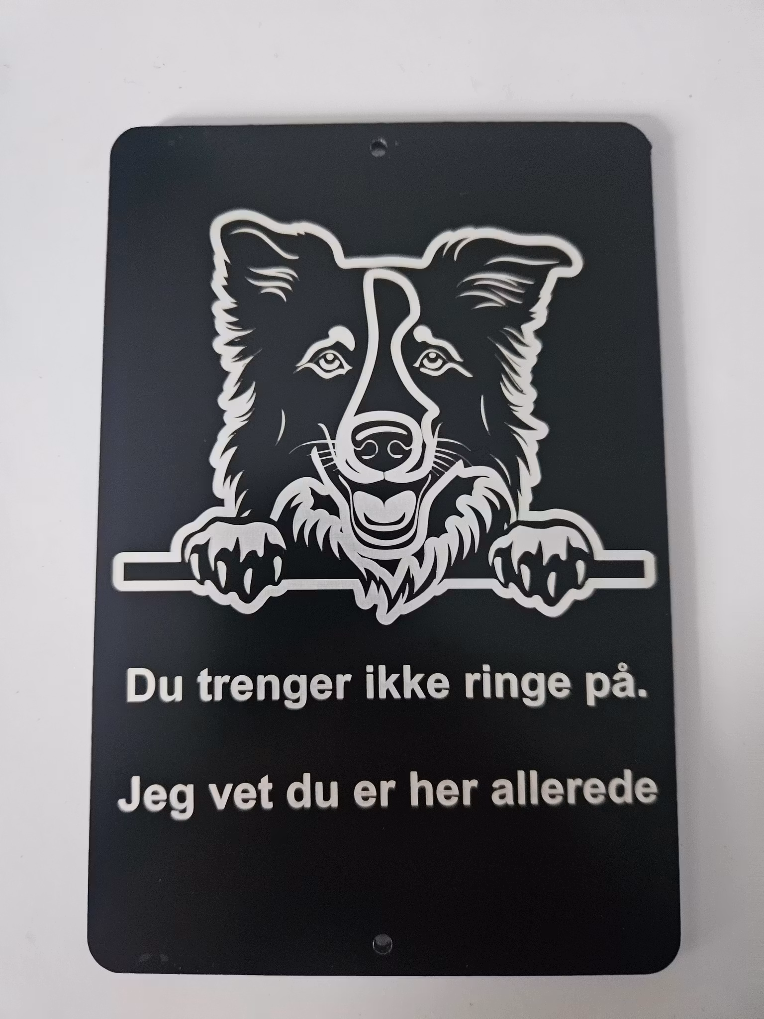 Border collie dørskilt