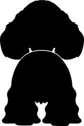 Bånd\seleholder Cocker Spaniel