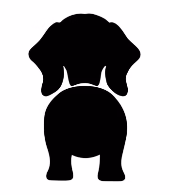 Bånd\seleholder Dachshund