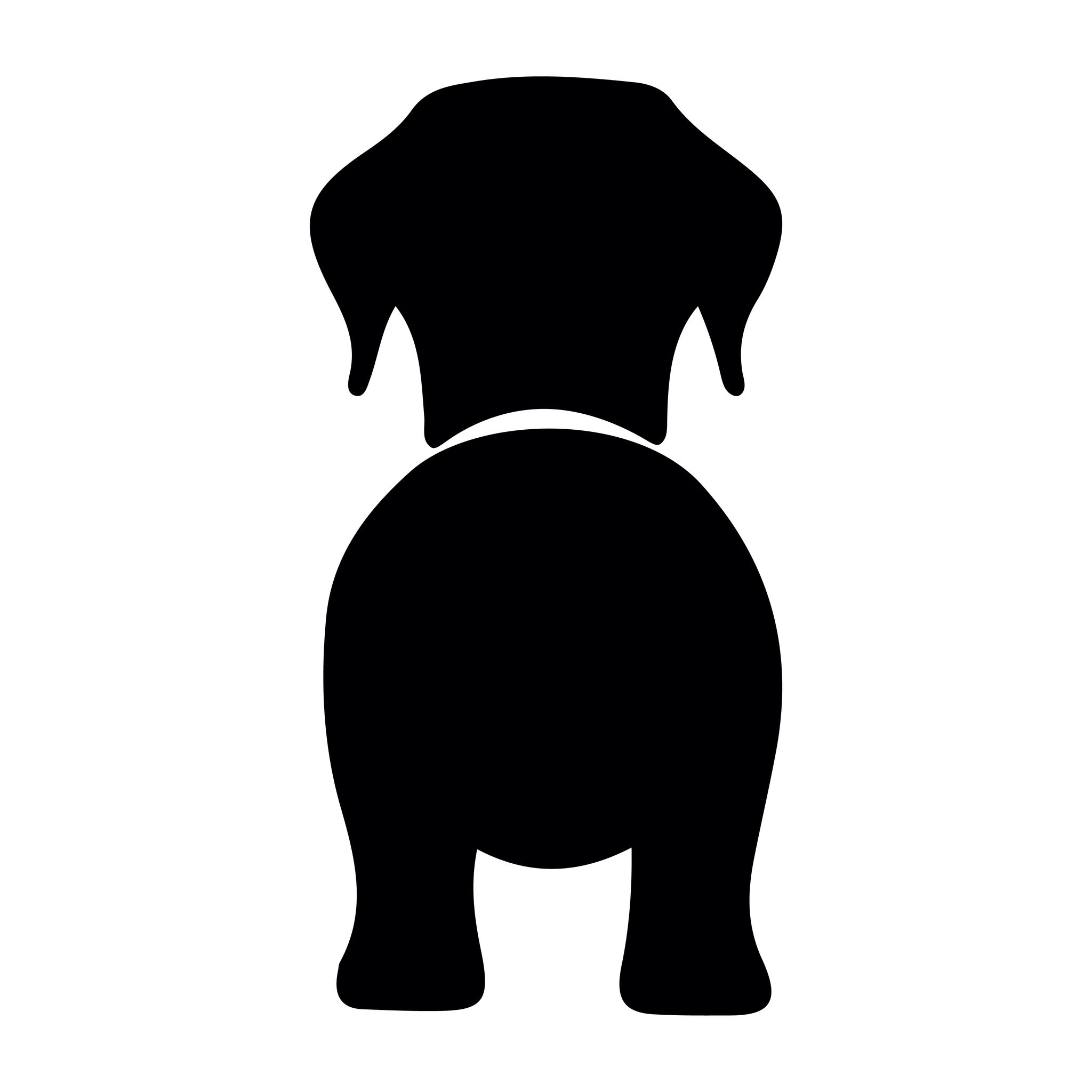 Bånd\seleholder Labrador