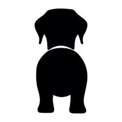Bånd\seleholder Labrador