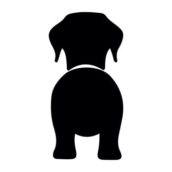 Bånd\seleholder Labrador