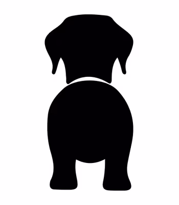 Bånd\seleholder Labrador