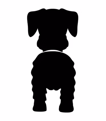 Bånd\seleholder Dverg Schnauzer