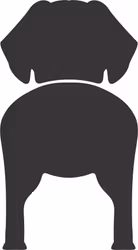 Bånd\seleholder Tibetansk Spaniel