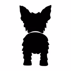 Bånd\seleholder Yorkshire terrier
