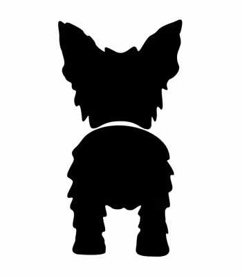 Bånd\seleholder Yorkshire terrier