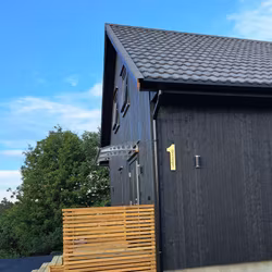 Hustall børstet gull med eller uten adresse TYPE 1