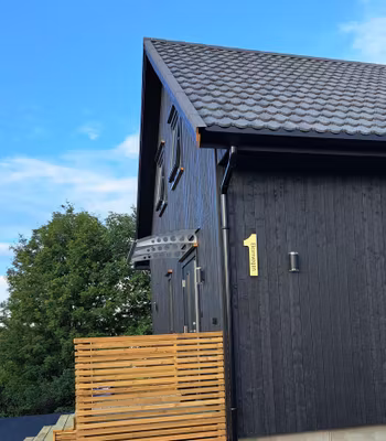 Hustall børstet gull med eller uten adresse TYPE 1