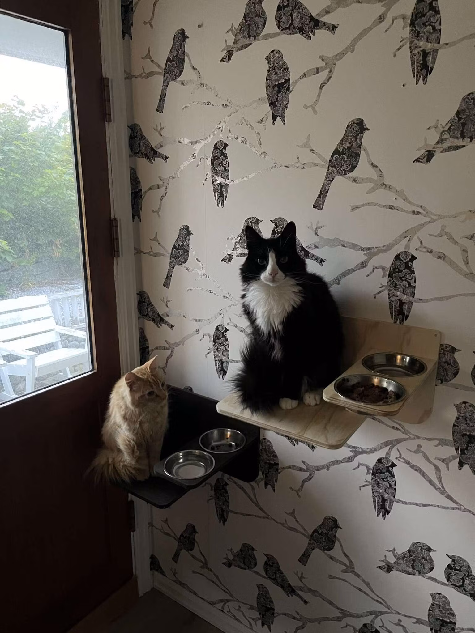 Matestasjon for katt for veggmontering.