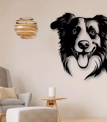Border Collie  skilt