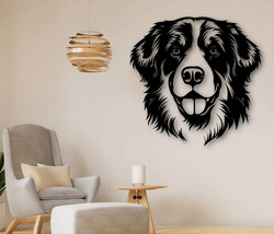 Berner sennenhund  skilt