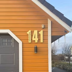 Hustall børstet gull med eller uten adresse TYPE 1