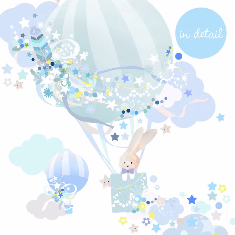 Hot Air Balloon