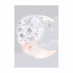Moon Dreams