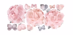Peonies