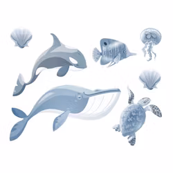 Ocean
