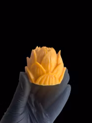 Gul lotus - disktvål