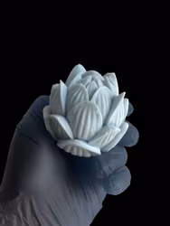 Blå lotus - disktvål