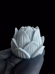 Blå lotus - disktvål