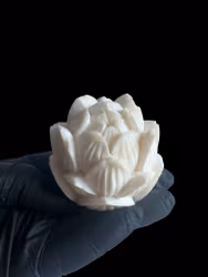 Vit lotus - disk- och städtvål