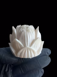 Vit lotus - disk- och städtvål