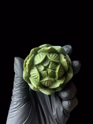 Grön lotus - disktvål JUL