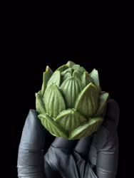 Grön lotus - disktvål JUL