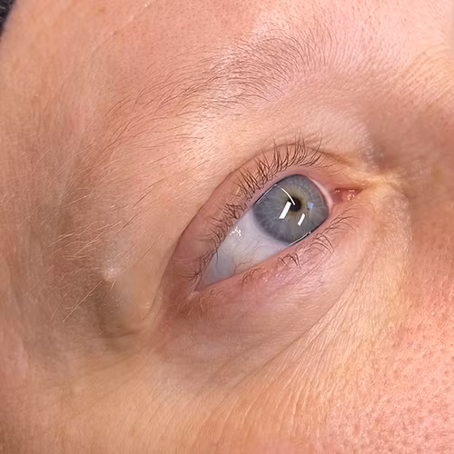 Browlift inklusive Keratinbehandling, färg & plock