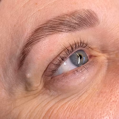 Browlift inklusive Keratinbehandling, färg & plock