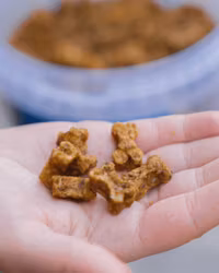 Buddy Traning Snack Beef 100g Hundgodis