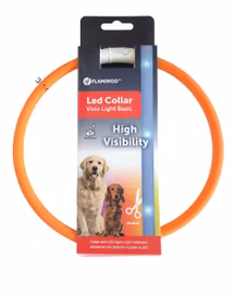 Halsband blink/fast Orange med USB-kabel